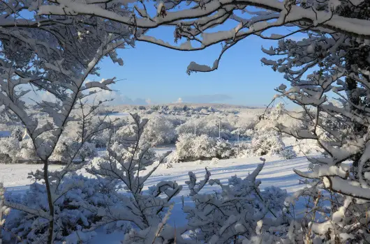 Szpia Bio & Art Hotel, Zsmbk, Visegrd - 31 km