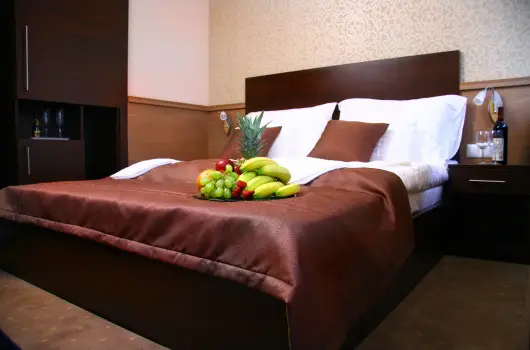 Central Hotel 21, Budapest, Visegrd - 26 km