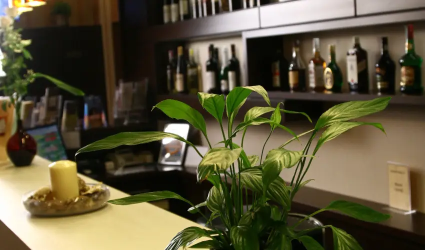 Central Hotel 21 Budapest