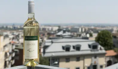 Hotel Castle Garden Budapest