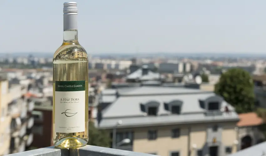 Hotel Castle Garden Budapest