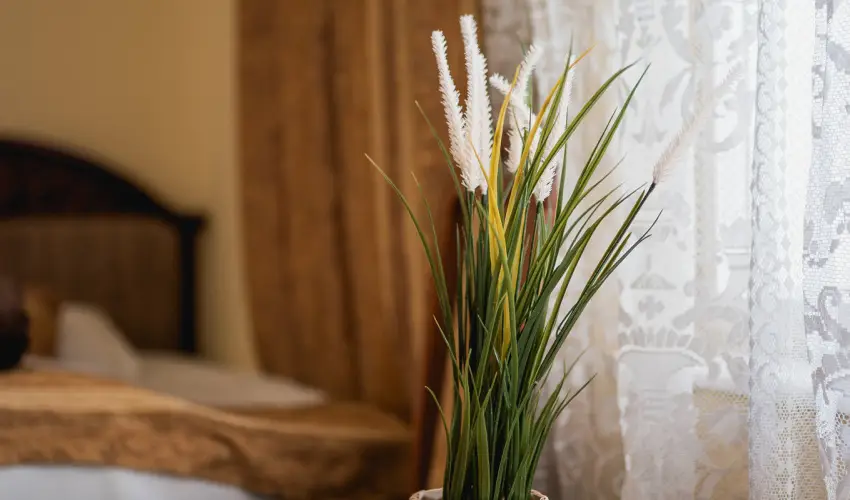 City Hotel Unió  Budapest