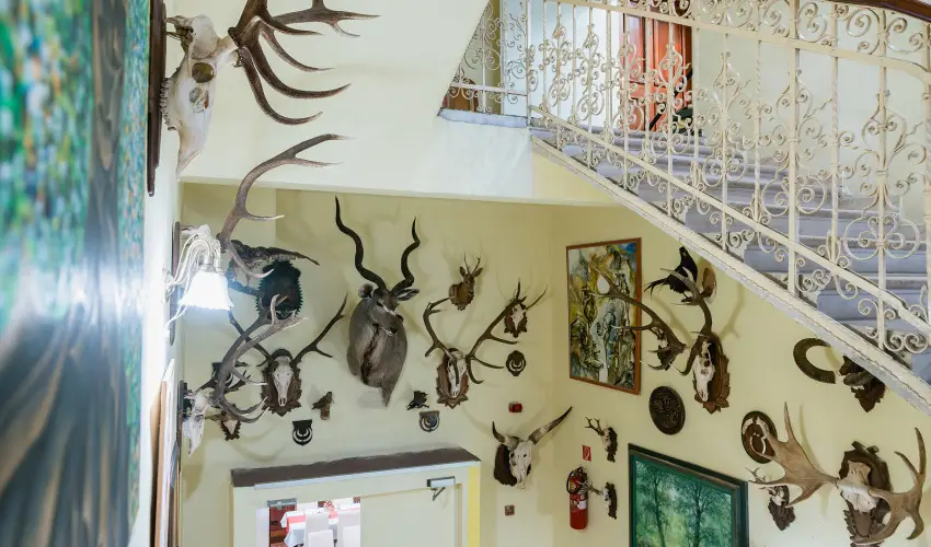 City Hotel Unió  Budapest