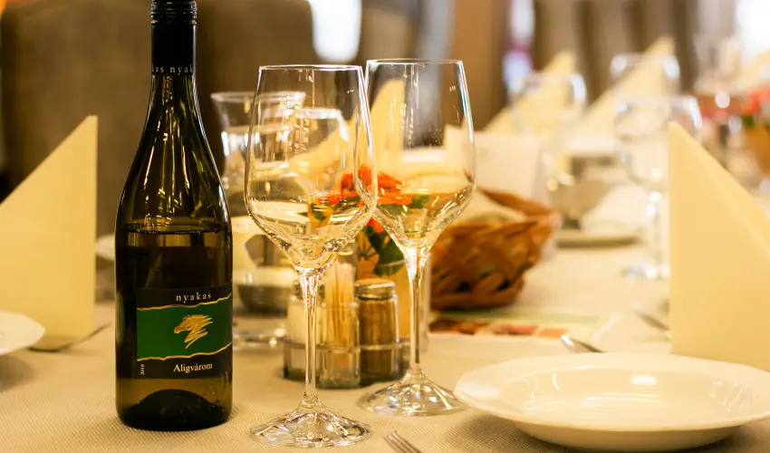 Hotel Visegrád Visegrád