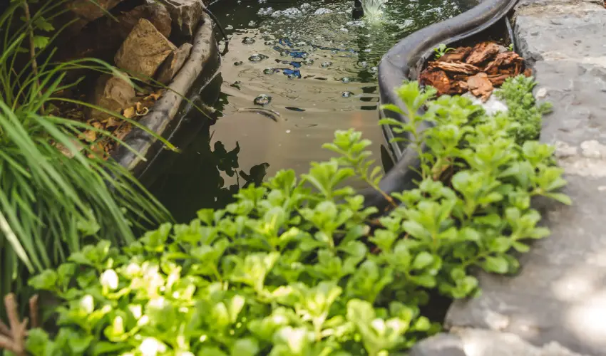 Hotel Karin Budapest