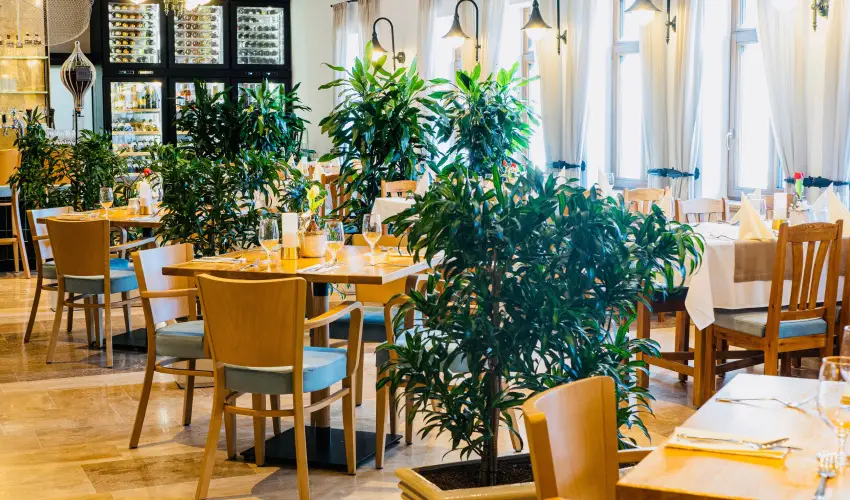 reg Halsz tterem s Fogad Tt