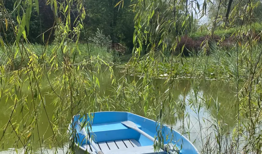 Palcliget Vendghz Ktbodony