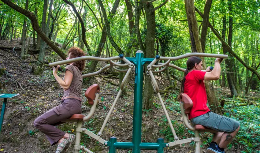 Patak Park Hotel Visegrd