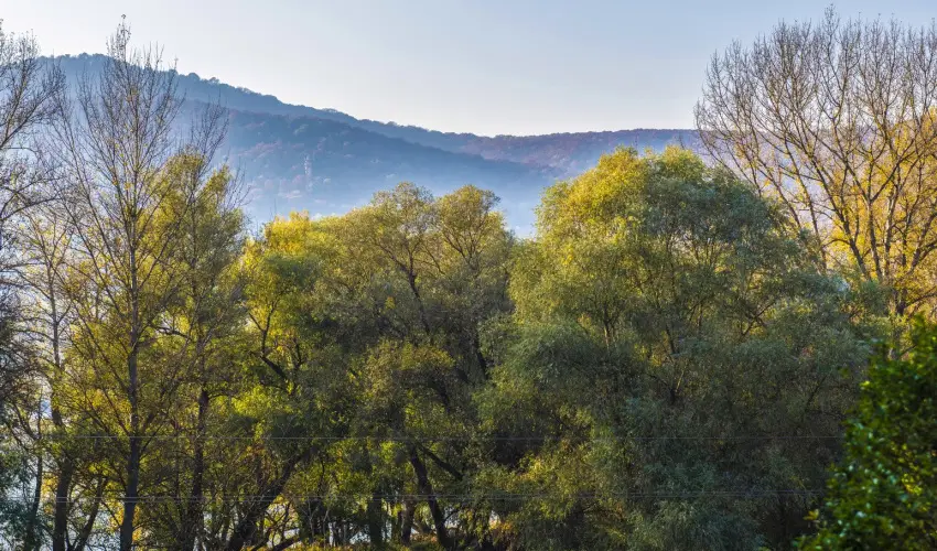 Royal Club Hotel Visegrád