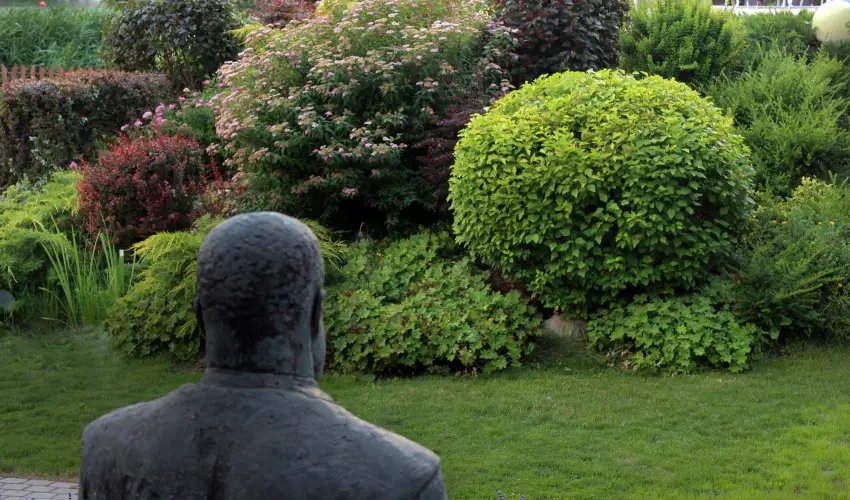 T Wellness Hotel Bnk