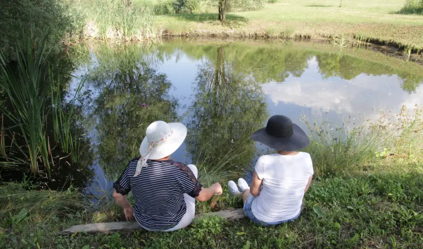 T Wellness Hotel Bnk