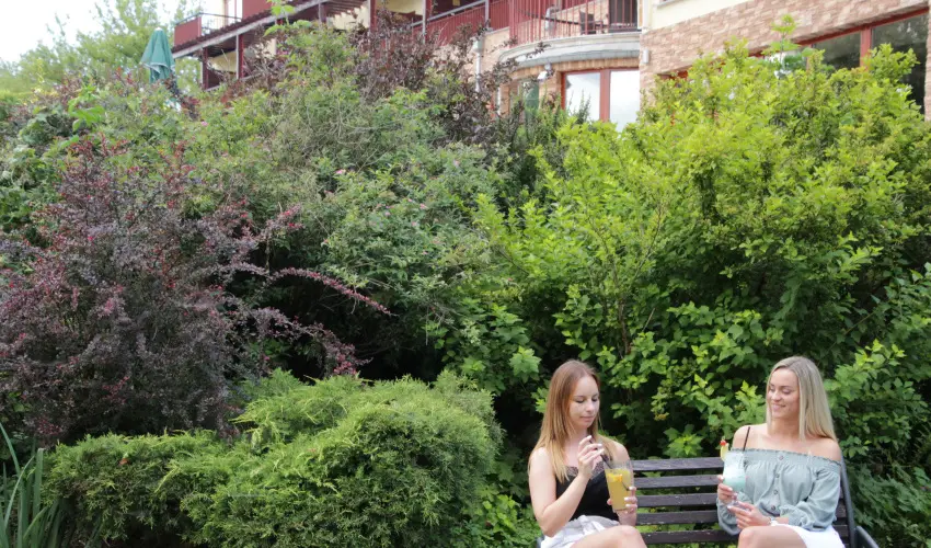 T Wellness Hotel Bnk